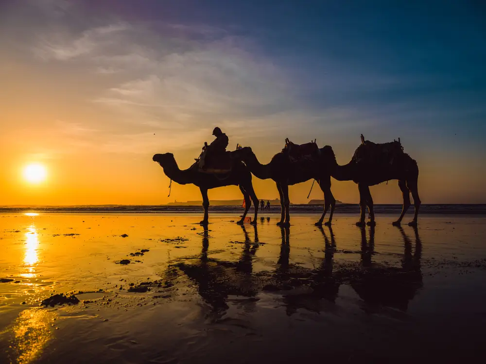 10 days desert trip from Agadir