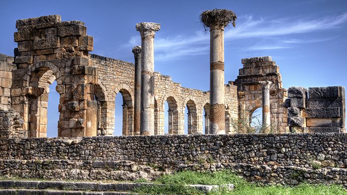 Day trip from Casablanca to Volubilis