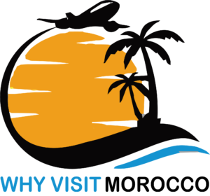 default-logo